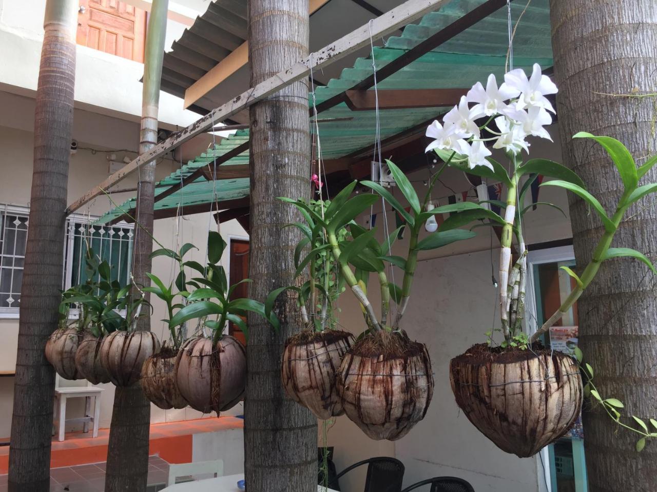 Sarin Guesthouse Ko Tao Eksteriør bilde